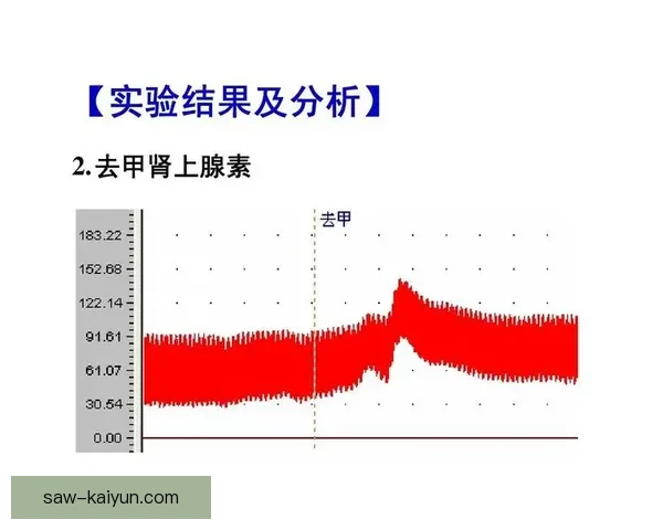 阿什利扬技术全面性分析及其对球队战术的影响